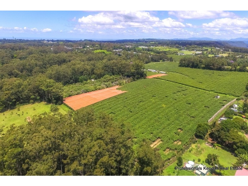 47 Kootenai Drive, Tamborine Mountain QLD 4272