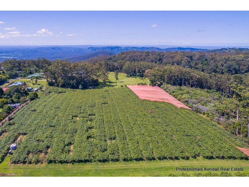 47 Kootenai Drive, Tamborine Mountain QLD 4272