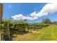 47 Kootenai Drive, Tamborine Mountain QLD 4272