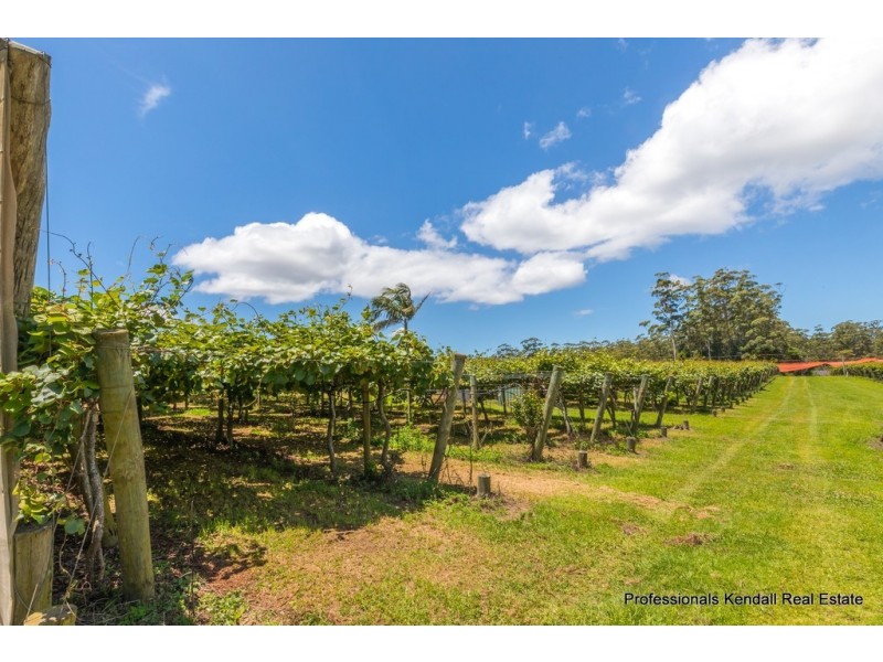 47 Kootenai Drive, Tamborine Mountain QLD 4272