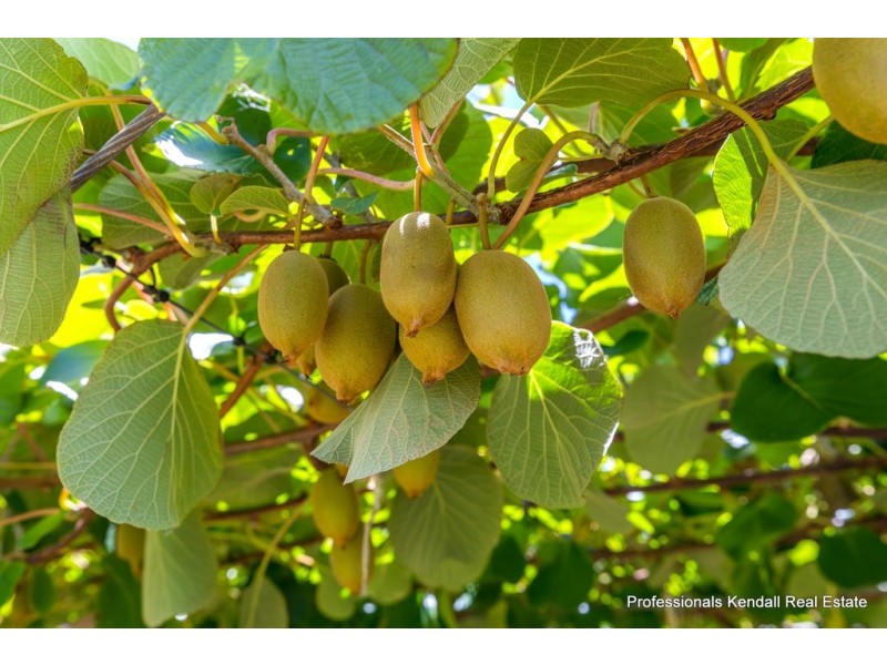 47 Kootenai Drive, Tamborine Mountain QLD 4272