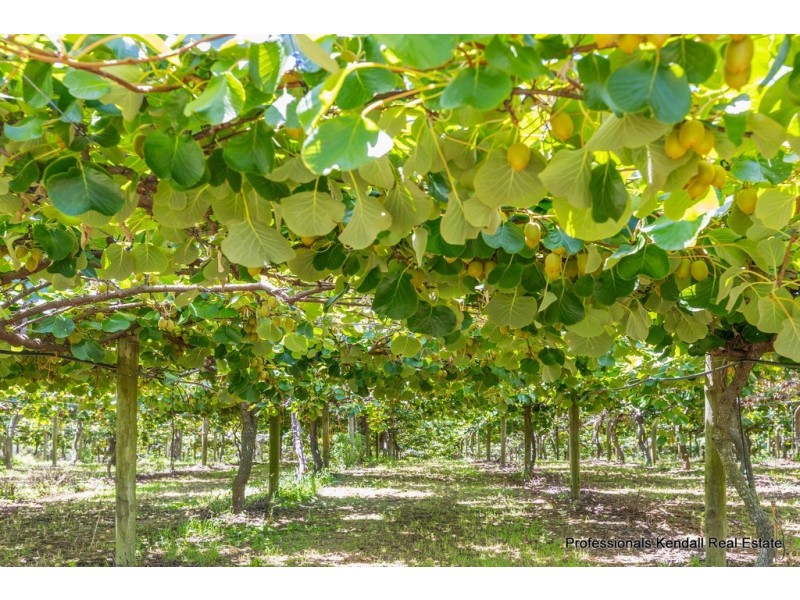 47 Kootenai Drive, Tamborine Mountain QLD 4272