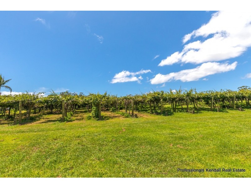 47 Kootenai Drive, Tamborine Mountain QLD 4272