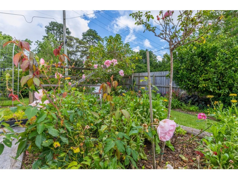 41-43 Cliff Way, Tamborine Mountain QLD 4272