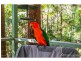 5 Kinabalu Drive, Tamborine Mountain QLD 4272