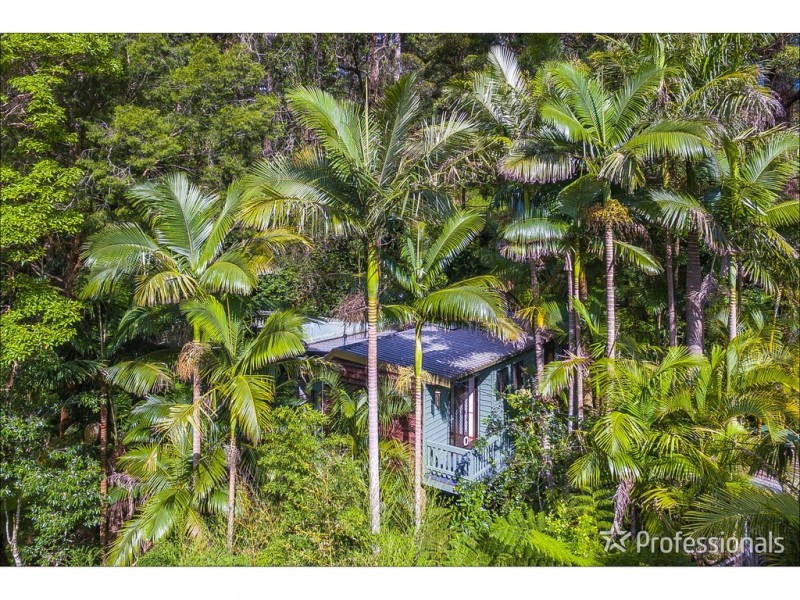 5 Kinabalu Drive, Tamborine Mountain QLD 4272
