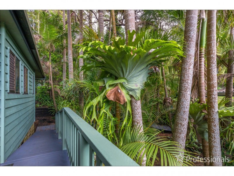 5 Kinabalu Drive, Tamborine Mountain QLD 4272