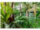 5 Kinabalu Drive, Tamborine Mountain QLD 4272
