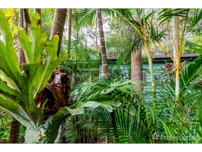 5 Kinabalu Drive, Tamborine Mountain QLD 4272
