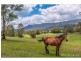 3/3043 Beaudesert Nerang Road, Canungra QLD 4275