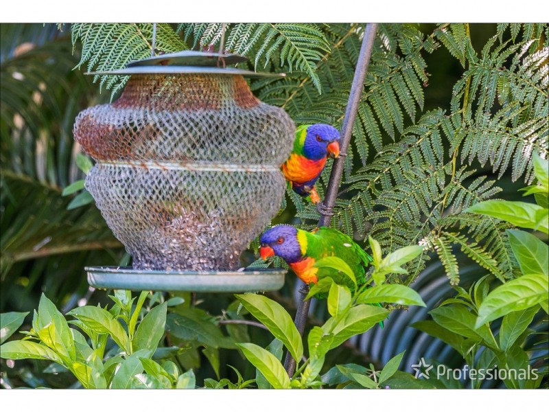 69-73 Benowa Street, Tamborine Mountain QLD 4272