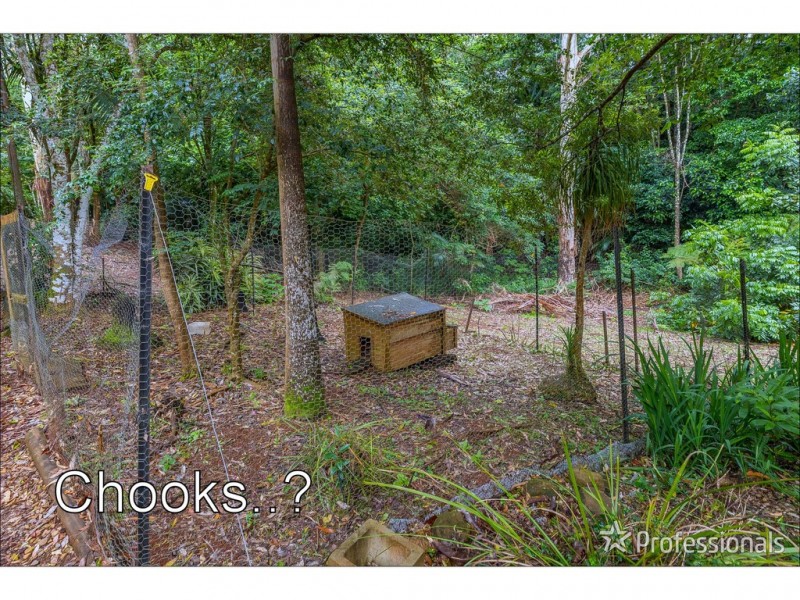 42 Dapsang Drive, Tamborine Mountain QLD 4272