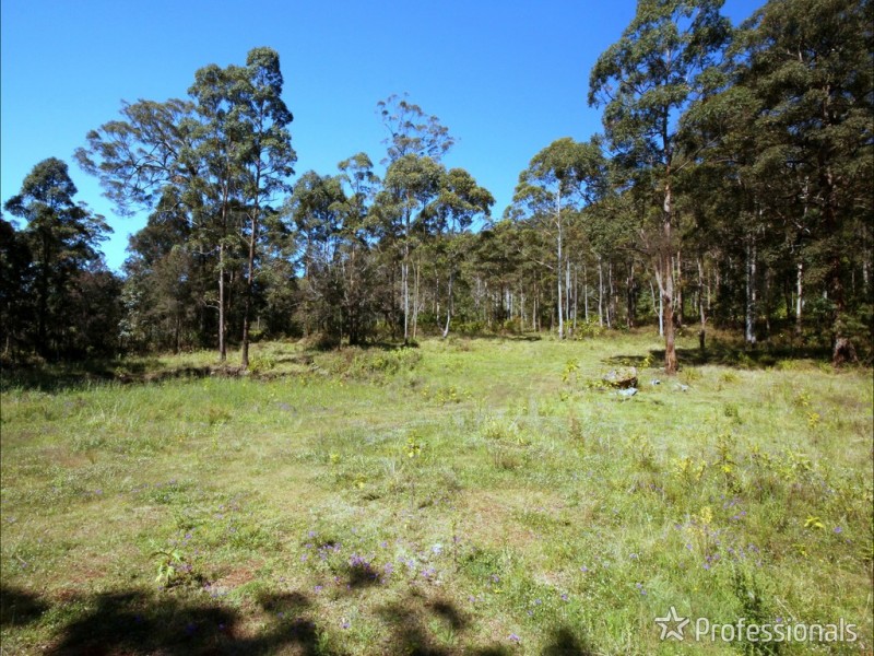 905F Main Western Road, Tamborine Mountain QLD 4272