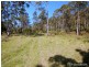 905F Main Western Road, Tamborine Mountain QLD 4272