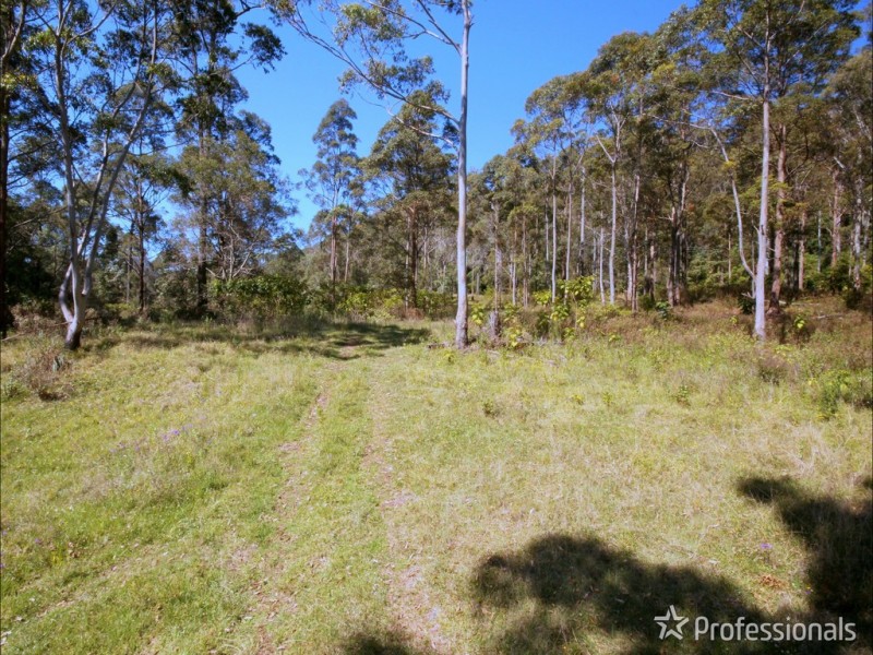 905F Main Western Road, Tamborine Mountain QLD 4272