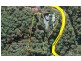 387 Henri Robert Drive, Tamborine Mountain QLD 4272