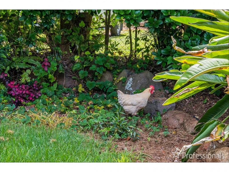 26 Yuulong Road, Tamborine Mountain QLD 4272