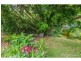 12 Kinabalu Drive, Tamborine Mountain QLD 4272
