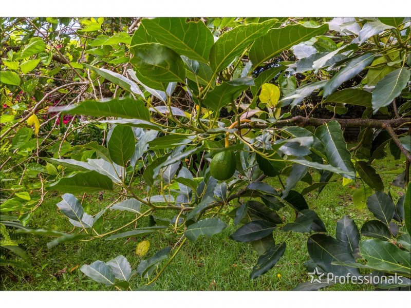 154 Eagle Heights Road, Tamborine Mountain QLD 4272