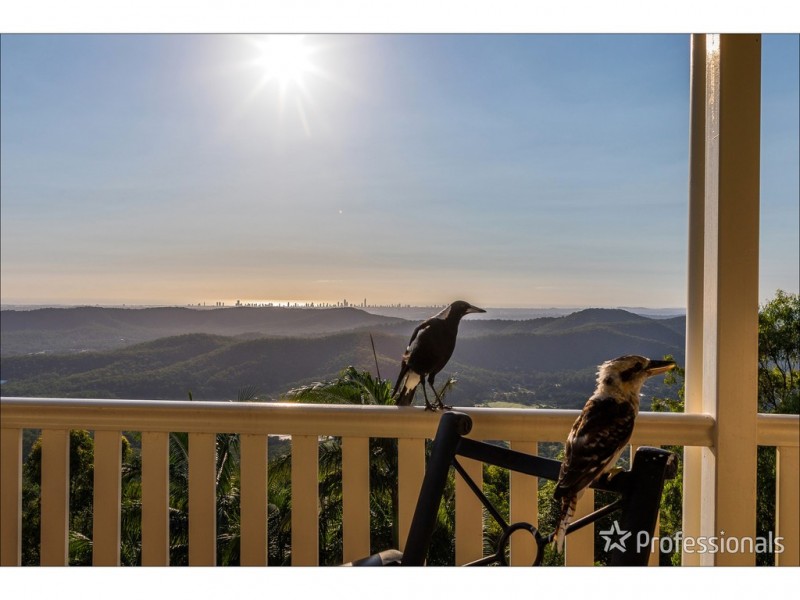 10 Wildflower Court, Tamborine Mountain QLD 4272