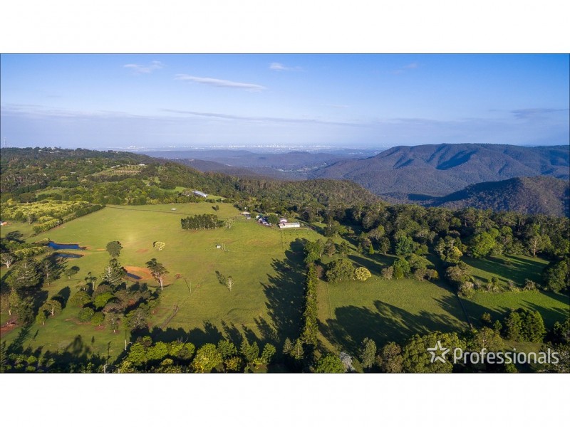 59 Wilson Road, Tamborine Mountain QLD 4272