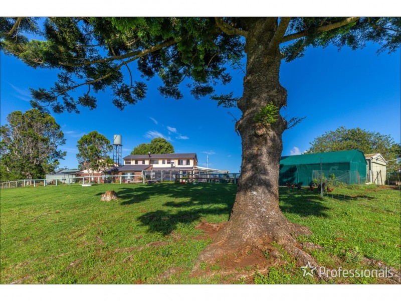 59 Wilson Road, Tamborine Mountain QLD 4272