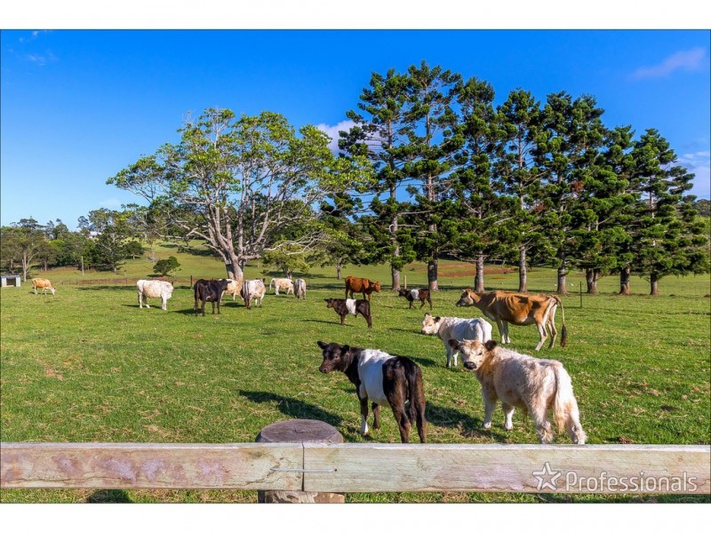 59 Wilson Road, Tamborine Mountain QLD 4272