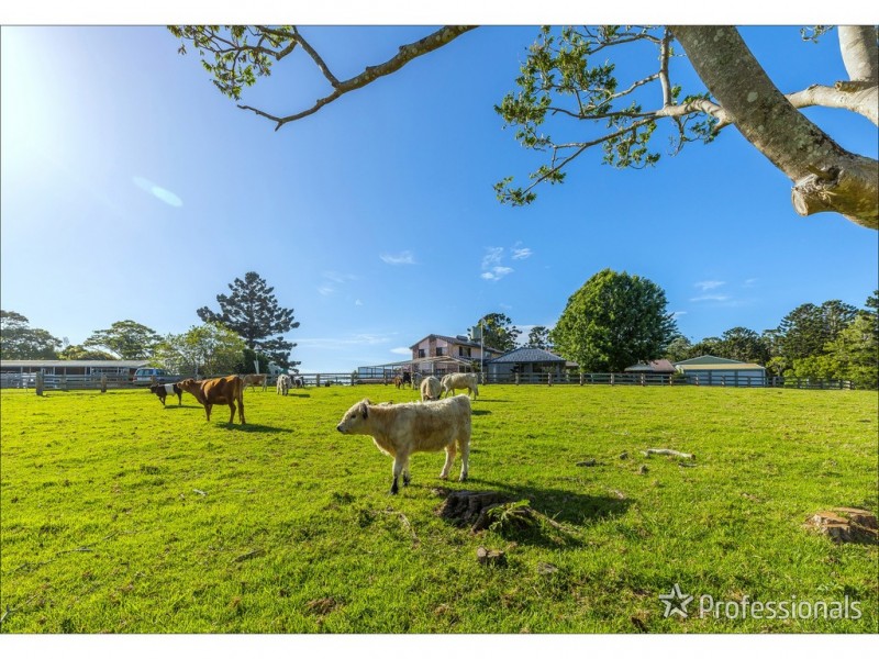 59 Wilson Road, Tamborine Mountain QLD 4272