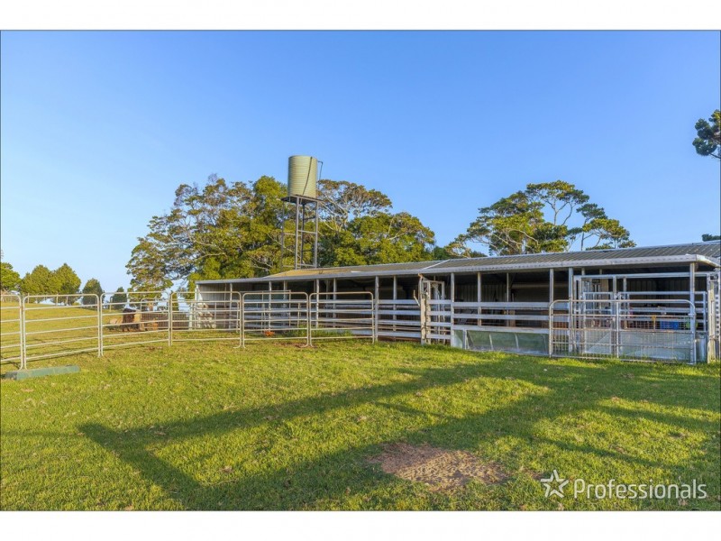 59 Wilson Road, Tamborine Mountain QLD 4272