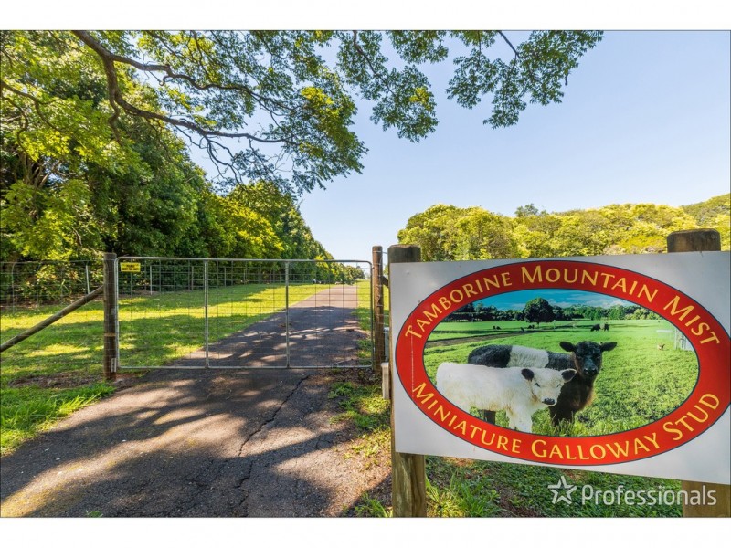 59 Wilson Road, Tamborine Mountain QLD 4272