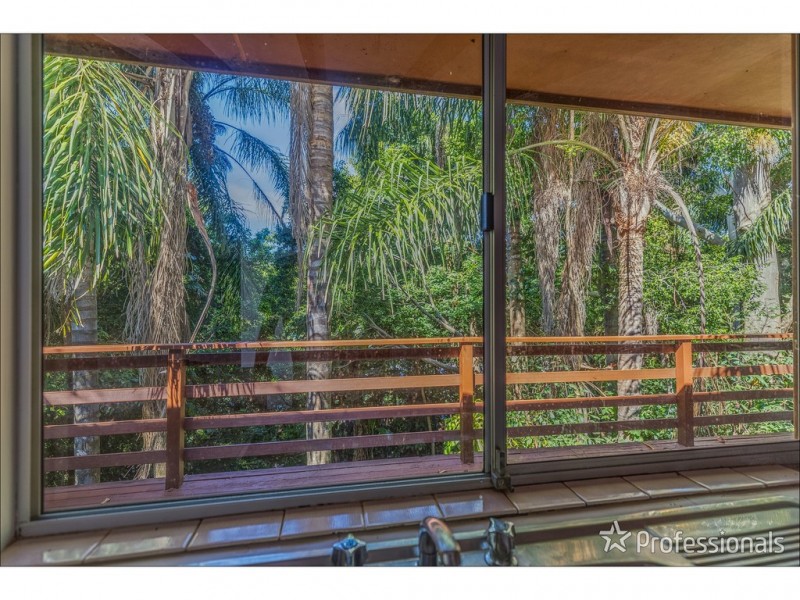 151 Macdonnell Road, Tamborine Mountain QLD 4272