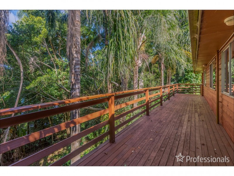 151 Macdonnell Road, Tamborine Mountain QLD 4272