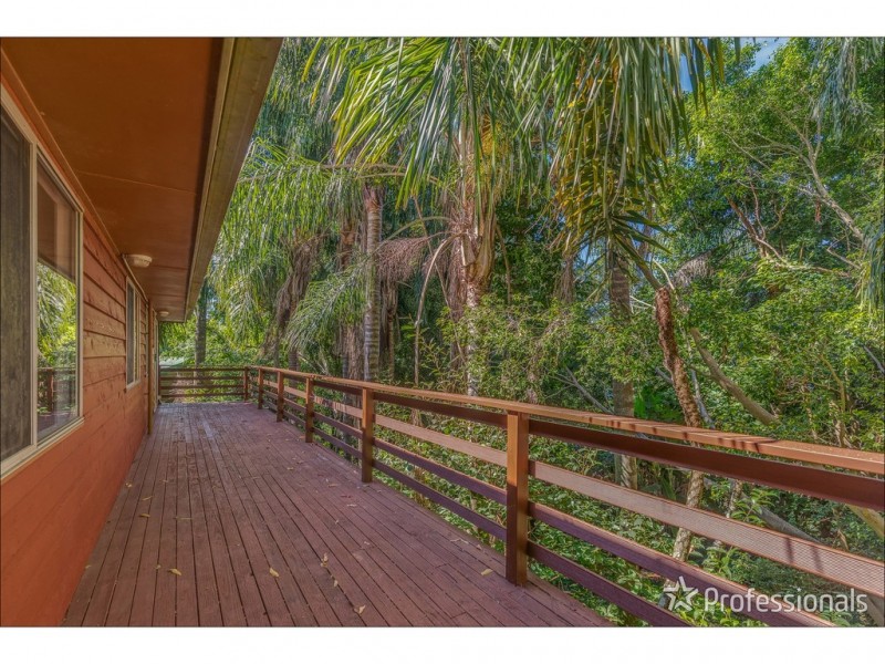151 Macdonnell Road, Tamborine Mountain QLD 4272