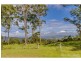 905J Main Western Road, Tamborine Mountain QLD 4272