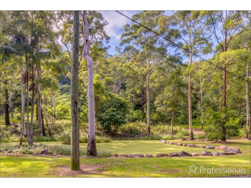 905J Main Western Road, Tamborine Mountain QLD 4272