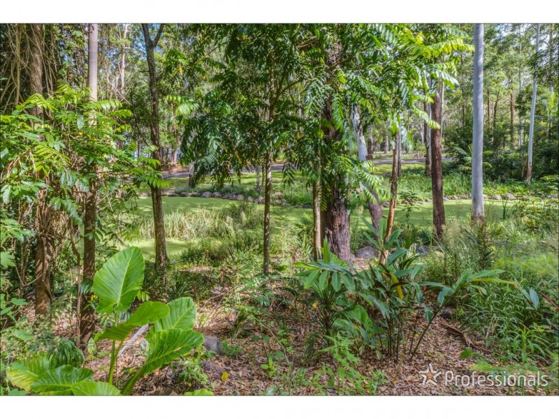 905J Main Western Road, Tamborine Mountain QLD 4272