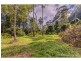 905J Main Western Road, Tamborine Mountain QLD 4272