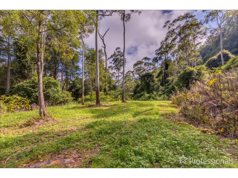 905J Main Western Road, Tamborine Mountain QLD 4272
