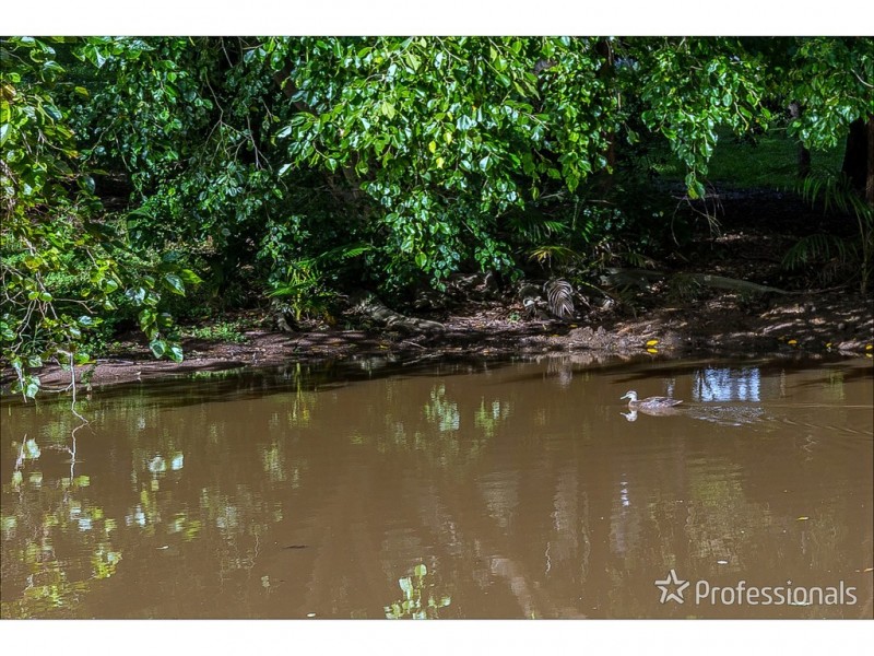 64-74 Murray Grey Drive, Tamborine QLD 4270