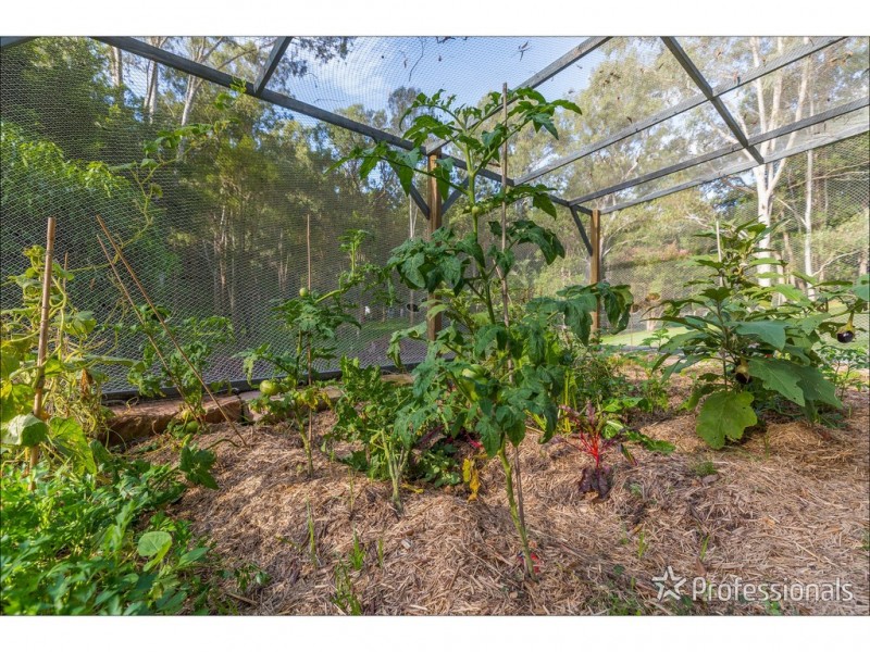 64-74 Murray Grey Drive, Tamborine QLD 4270