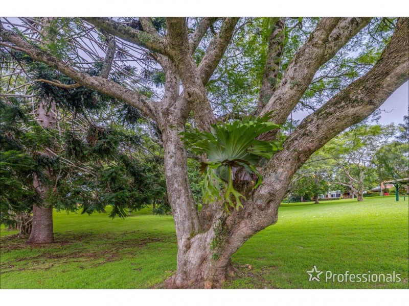 19 Tweed Heads Avenue, Tamborine Mountain QLD 4272