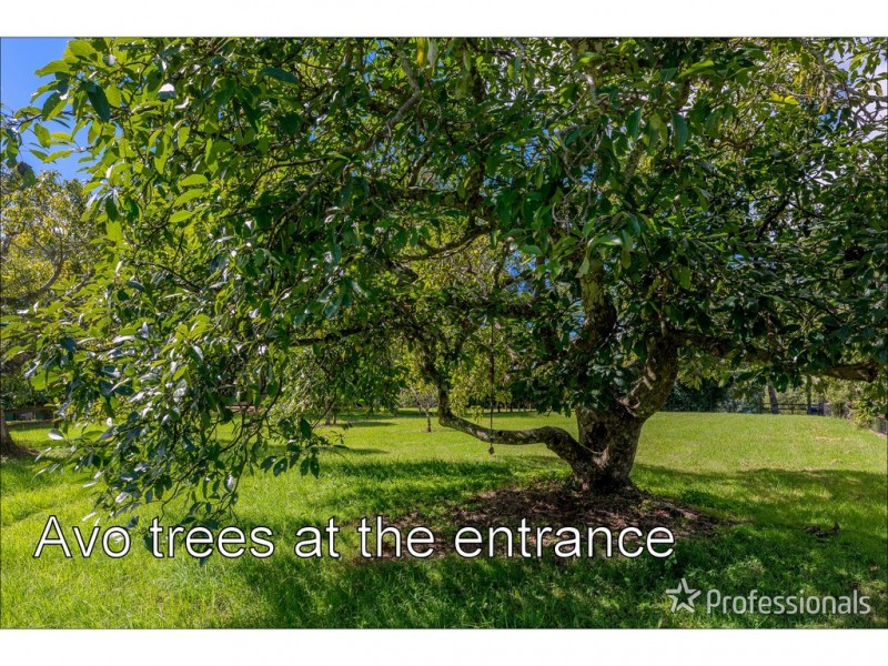 40 Knoll Road, Tamborine Mountain QLD 4272