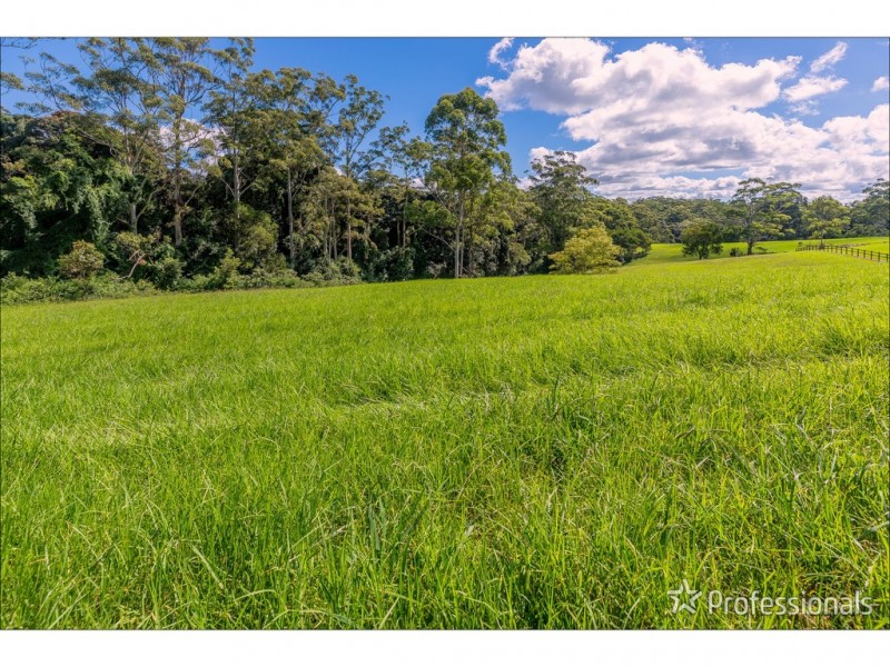 40 Knoll Road, Tamborine Mountain QLD 4272