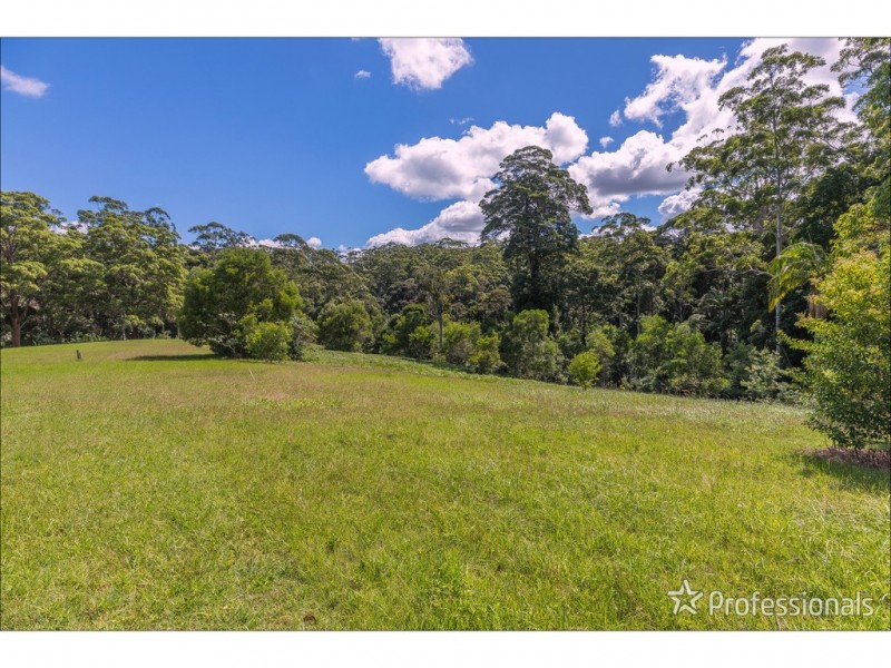40 Knoll Road, Tamborine Mountain QLD 4272