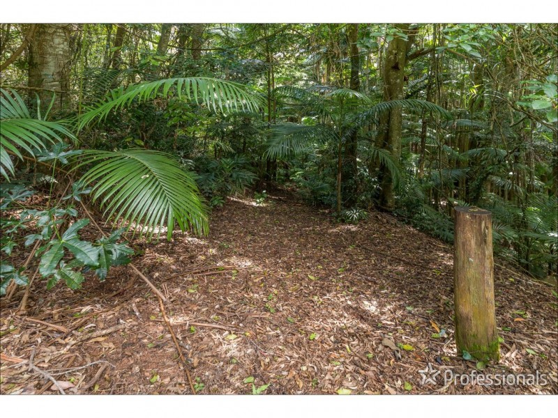 40 Knoll Road, Tamborine Mountain QLD 4272