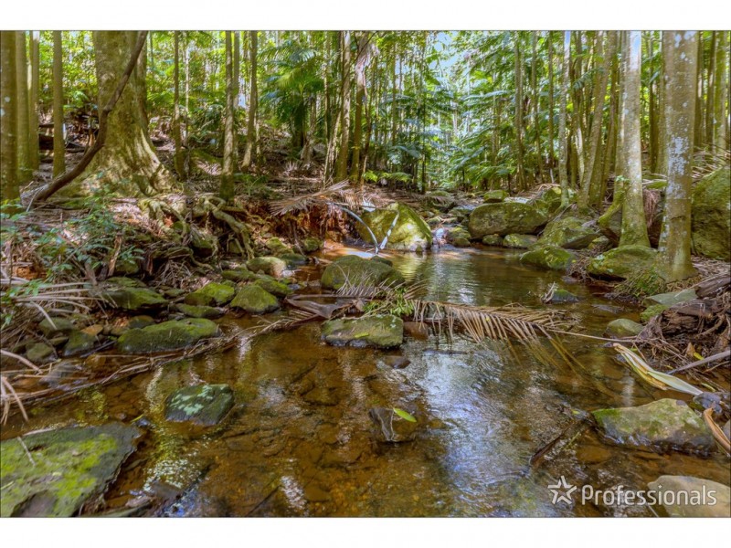 40 Knoll Road, Tamborine Mountain QLD 4272