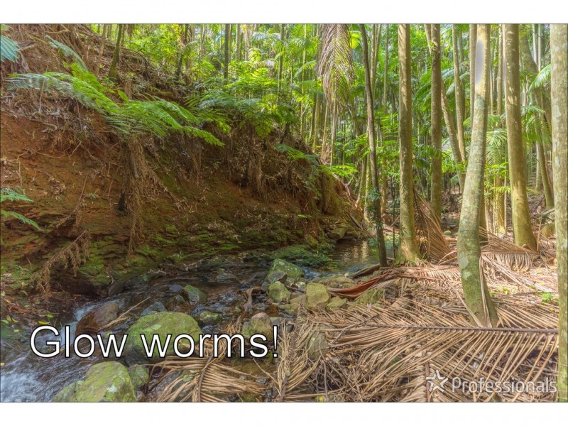 40 Knoll Road, Tamborine Mountain QLD 4272