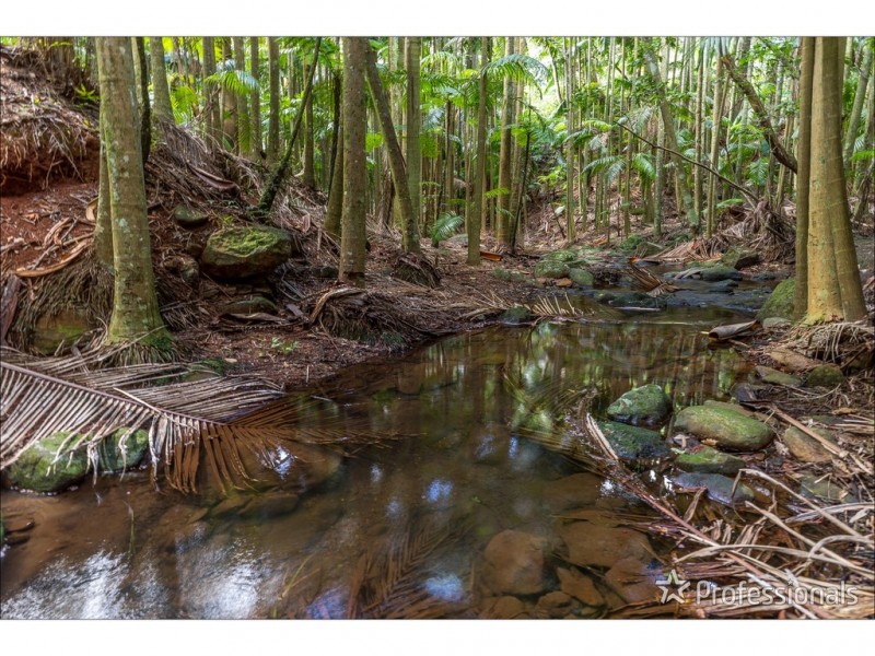 40 Knoll Road, Tamborine Mountain QLD 4272