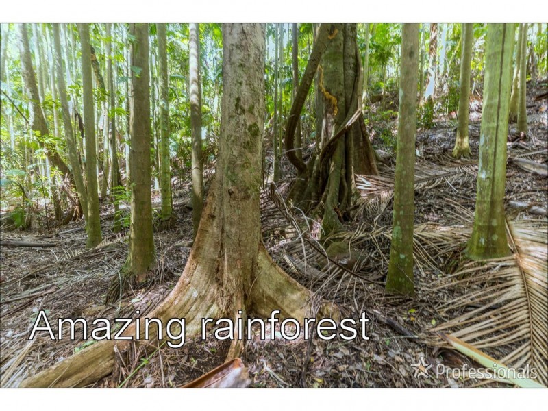 40 Knoll Road, Tamborine Mountain QLD 4272