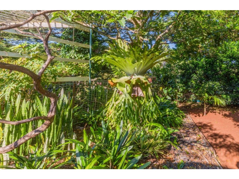 440-442 Long Road, Tamborine Mountain QLD 4272